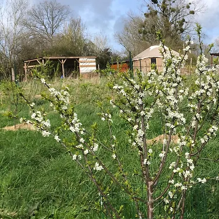 Les Jardins Framboise Yourte Et D'hotes * Beaufour-Druval