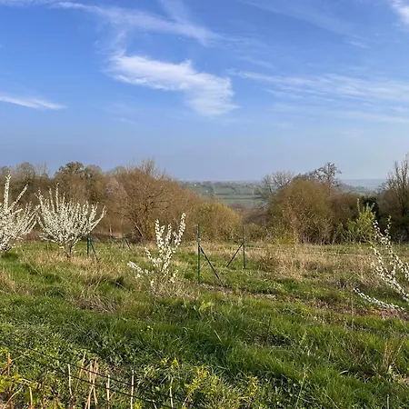 Les Jardins Framboise Yourte Et D'hotes Bed and Breakfast Beaufour-Druval